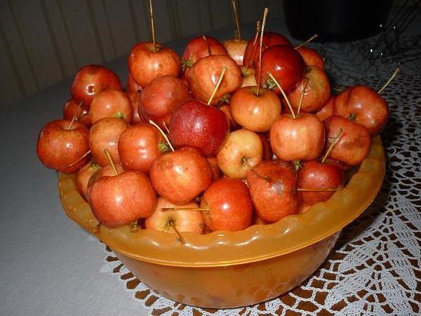 mes pommes
