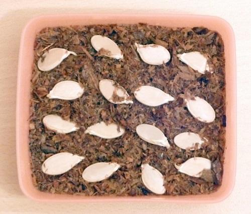 germinarea semințelor de dovlecei în rumeguș