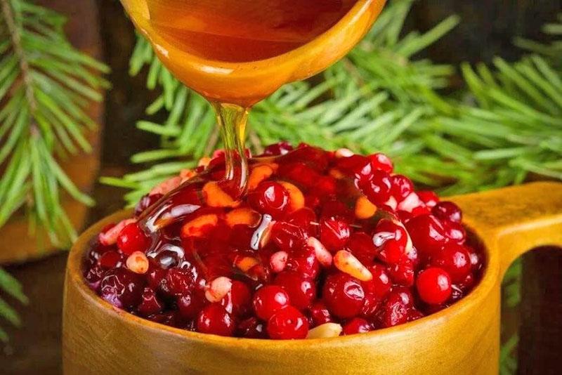 συνταγές lingonberry για το χειμώνα με μέλι