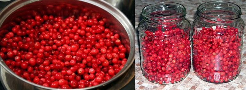 ετοιμάστε τα lingonberries και γεμίστε τα βάζα