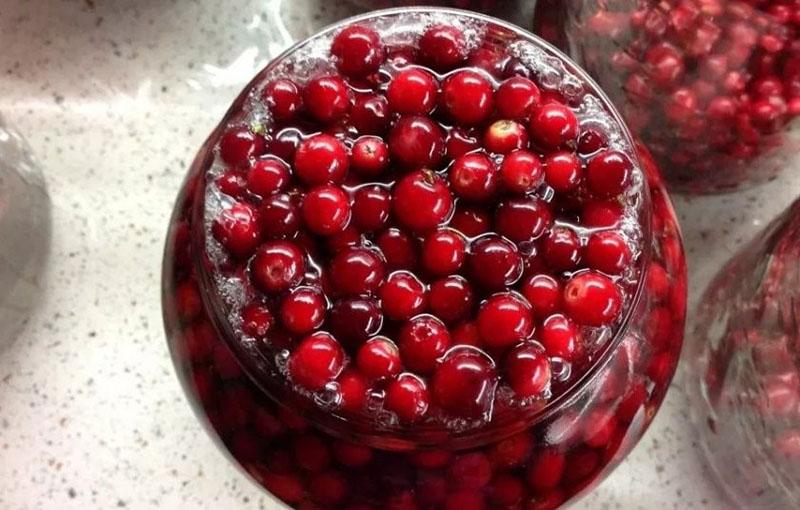 สูตร lingonberry สำหรับฤดูหนาว