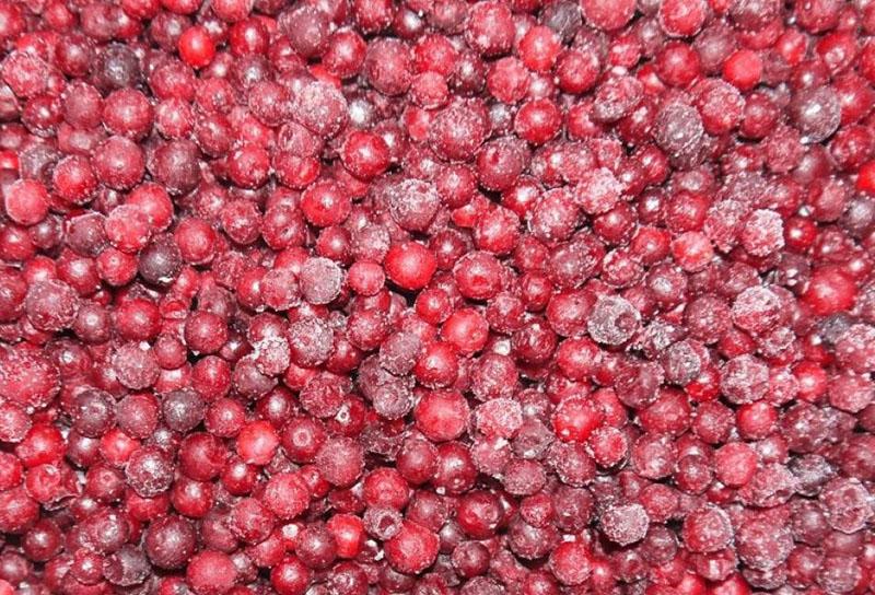 πάγωμα lingonberry