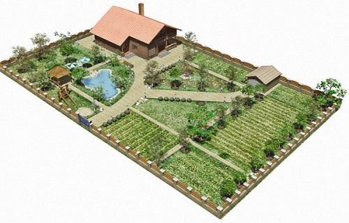 plan för att plantera en grönsaksträdgård mellan träd