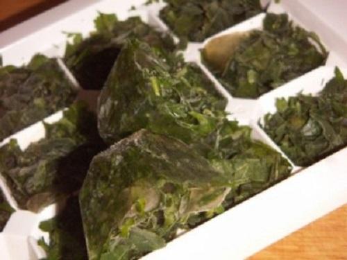 cilantro in an ice cube tray