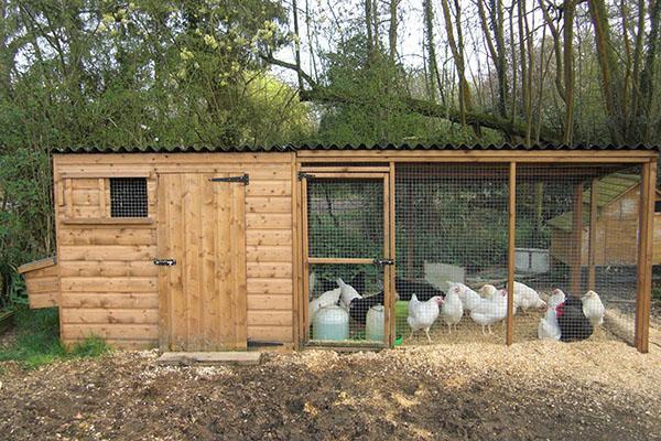 reliable chicken coop with aviary