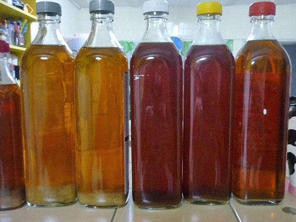 kvass from grapes