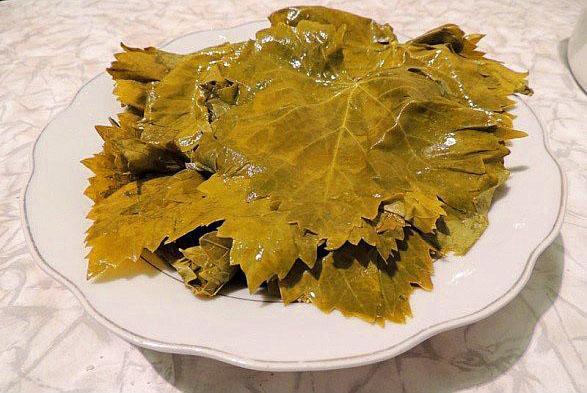 feuilles de vigne congelées