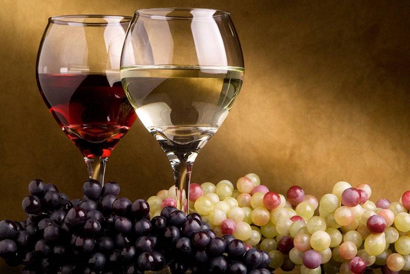 vinho aromático de diferentes variedades de uvas