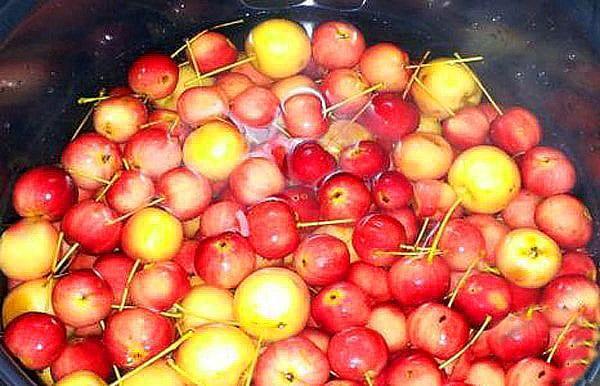 จัดเรียงและล้างแอปเปิ้ล