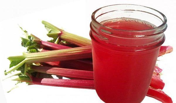 boisson vitaminée - compote de rhubarbe