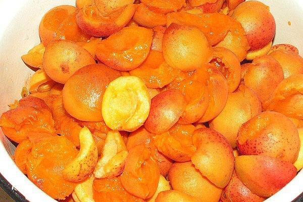 tvätta aprikoser och skala fröna