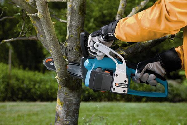 working with a chainsaw in the garden