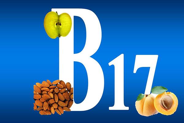 vitamin B17 v meruňkových jamkách