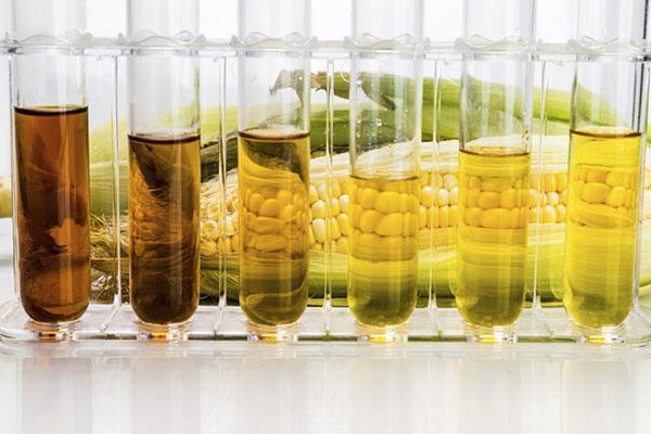 types of corn oil