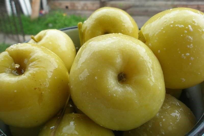 deliciosas maçãs em conserva