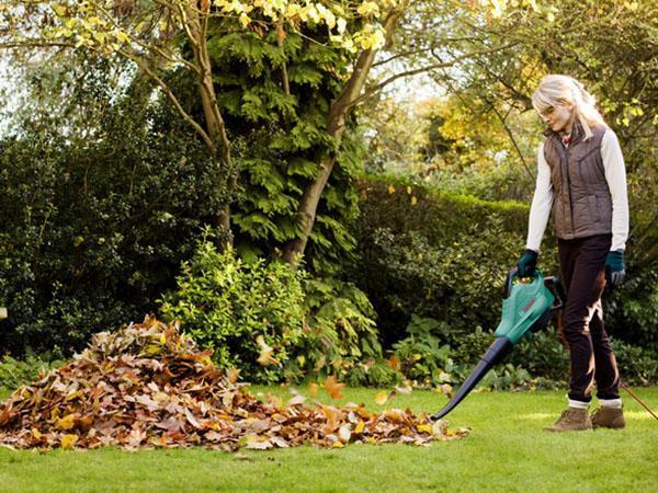 čištění listů zahradním vysavačem
