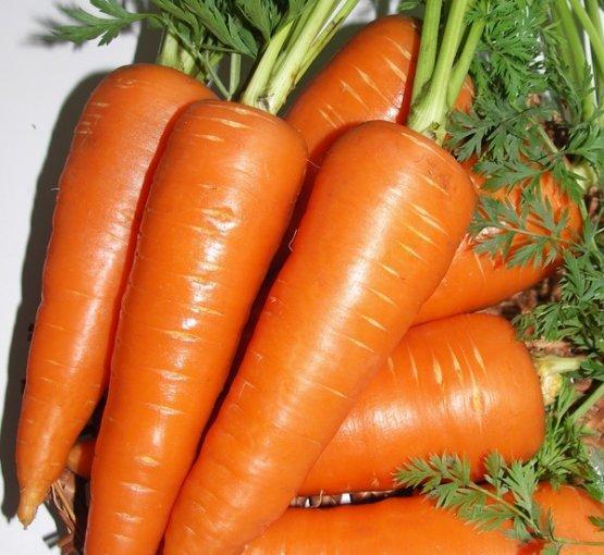 хибриден морков