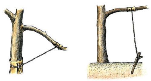 changing the slope of a branch