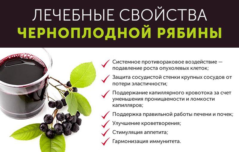 propriedades medicinais de chokeberry