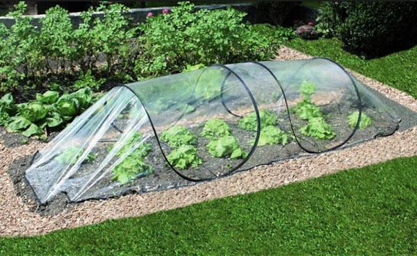 skleník instalovaný na hektaru v zahradě