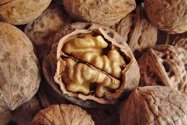 ve vlašském ořechu jsou užitečné jak dužina, tak příčky a skořápky