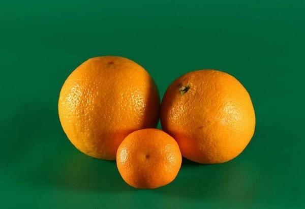 laranjas e tangerinas