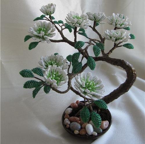bonsai in fiore