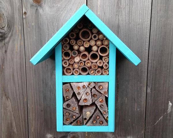 casa para abelhas solteiras