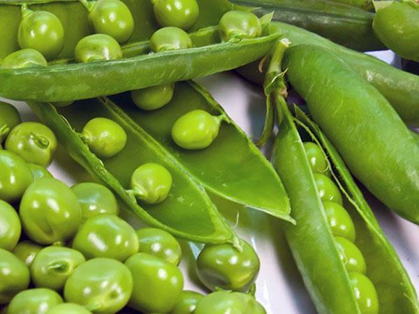 harvest peas from your garden