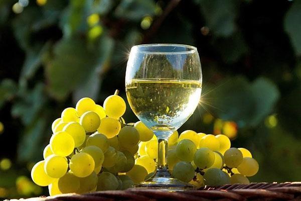 نبيذ العنب الأبيض