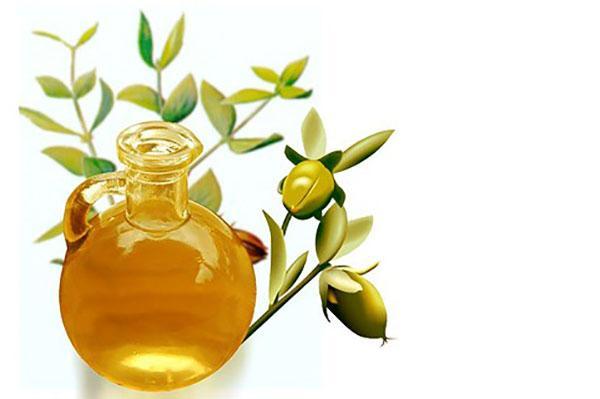 the healing power of jojoba oil
