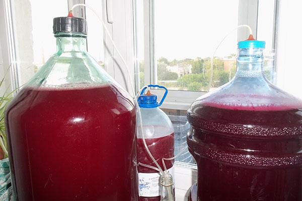 the fermentation process of raspberry wine