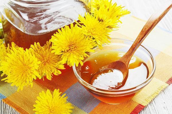 výhody a poškození pampeliškového medu