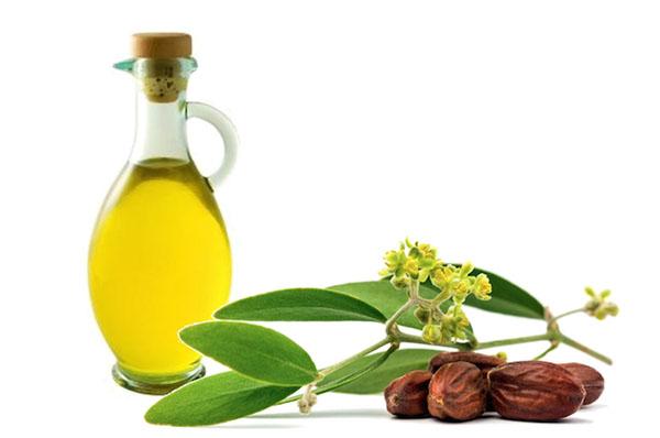 jedinečné vlastnosti jojobového oleje
