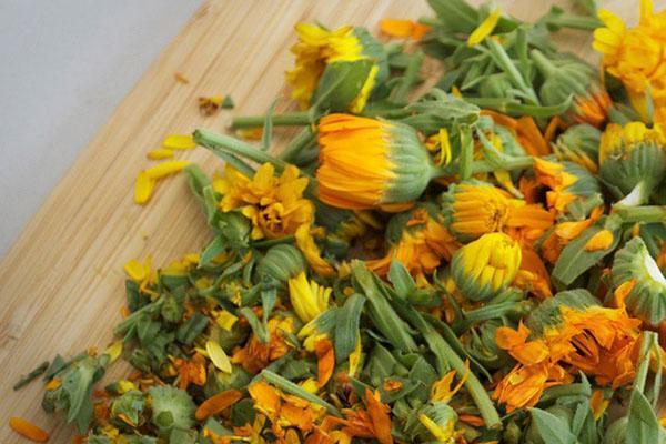 menuai bunga marigold