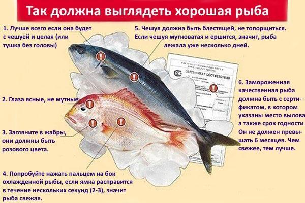 rules for the selection of fish for salting