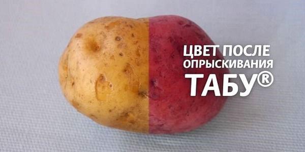 картофи преди и след обработката