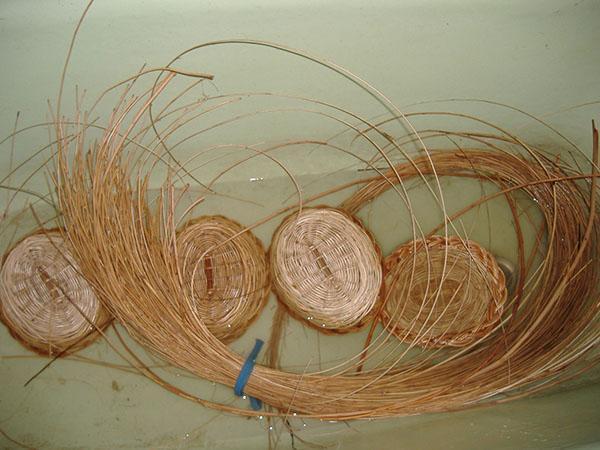 wilgentakjes voor het weven van manden
