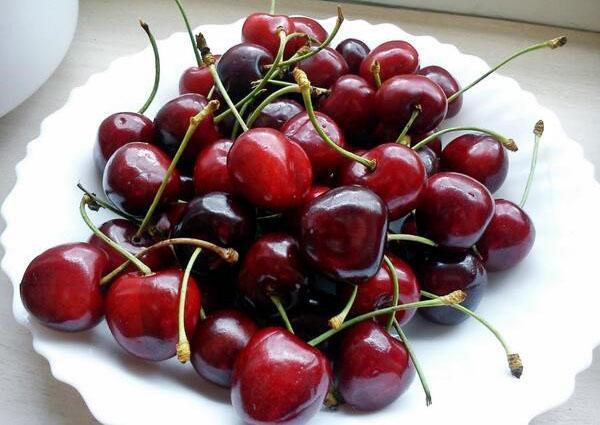 šťavnaté sladké plody třešně Zhukovskaya