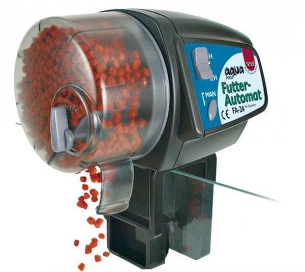 automatic fish feeder