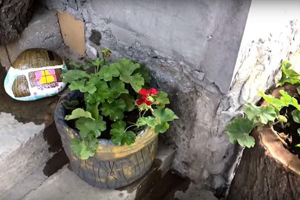 flower pot made of cement