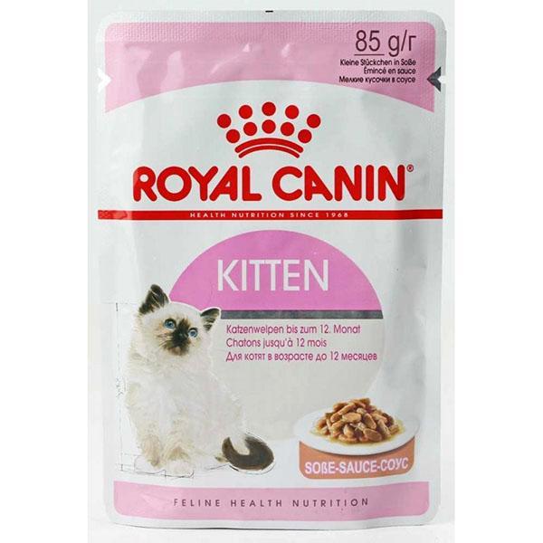 royal canin อาหารสำหรับลูกแมว