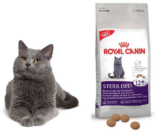 thức ăn cho mèo canin hoàng gia