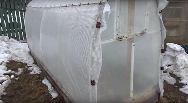 greenhouse for growing cucumbers