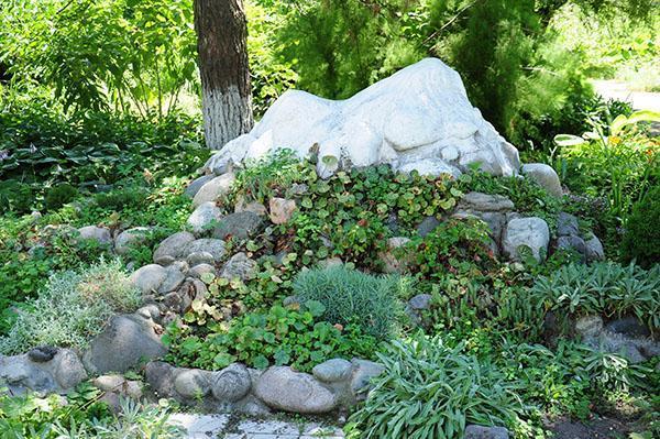 perfekt kombination av stenar och växter