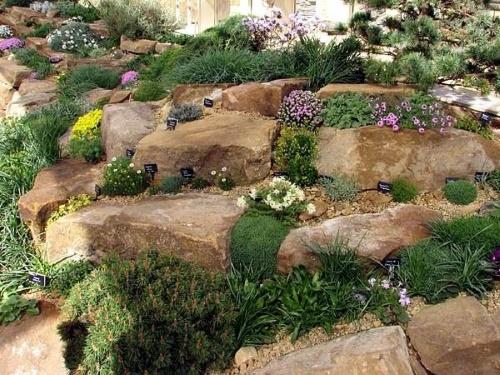 jardin de rocaille avec des fleurs