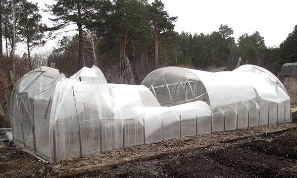 preparing the greenhouse for the new season