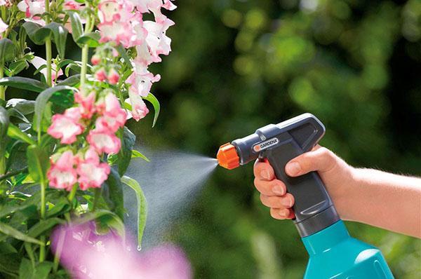 folosind insecticidul calypso în grădină