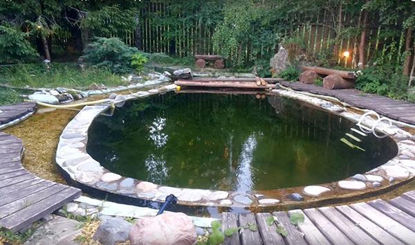 arrangement of the pool in the country