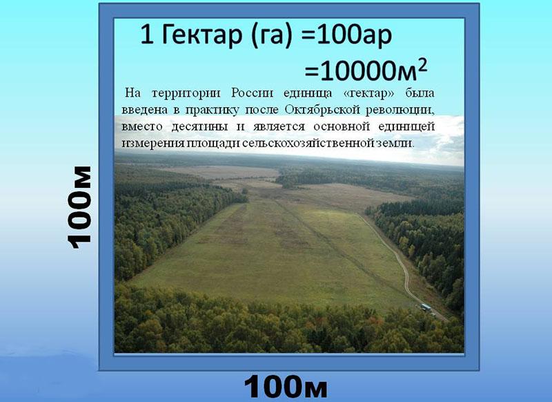 användning av termen hektar i Ryssland